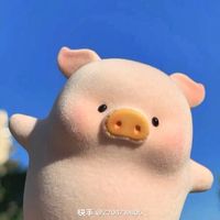 qiuyi4250