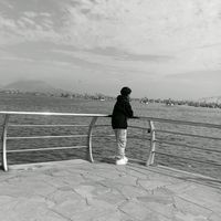 davidney240