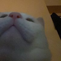 moxk_m