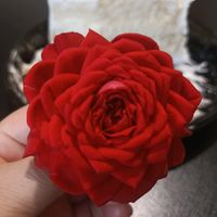 fran.souza97