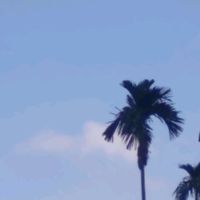 nhạc nền - Khánh Đan 38