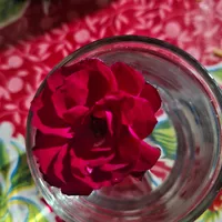 original sound - celi68231