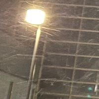 オリジナル楽曲 - 🌙。