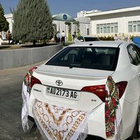 plany_77