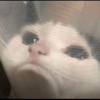 r0_sie