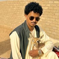 الصوت الأصلي