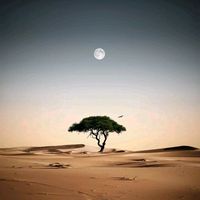 xamilyon9