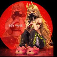 soy_vnssx