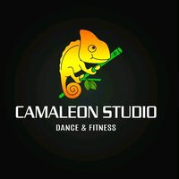 camaleonstudio