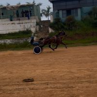 oliver011..1