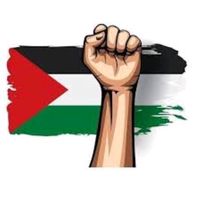 mdsaidali73
