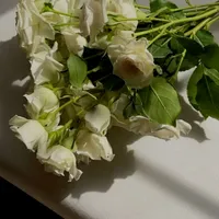 original sound - qpckiso12