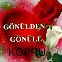 orijinal ses