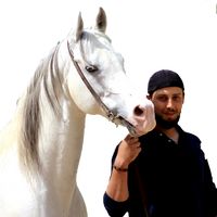 mohammadberro21