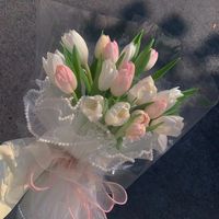 tulip6330