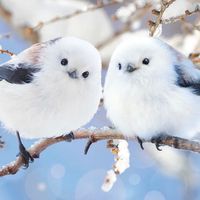 オリジナル楽曲 - MIKA