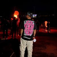 lessis_375