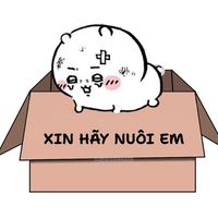 toy.yeu.bl