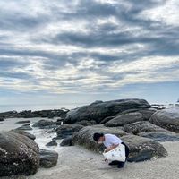 p.ppiinn_