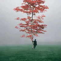 original sound - itswaqasarain876