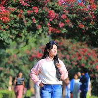 put_ki2