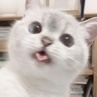 l___x_x