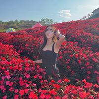 eve_sirip