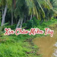 original sound - xuanchantran