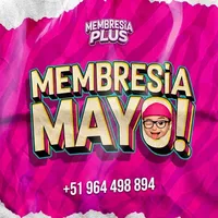 original sound - membreplus2025