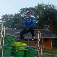 เสียงต้นฉบับ - โสดครับผม