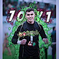 الصوت الأصلي