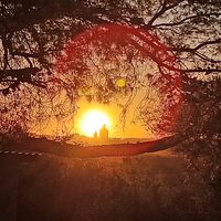 jou_liefie_my_marais