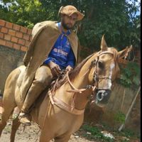 franciscojailtonr