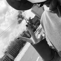 hipp_2811