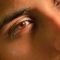 shahrukhsarfraz61
