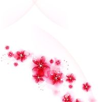 t.y0113