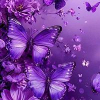 miss_gumani