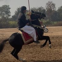 hassaniwarraich01