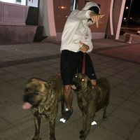 оригинальный звук