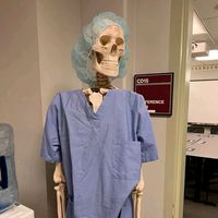 anthonyuzhc