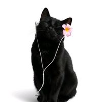 original sound - Julie