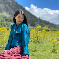 pedayswangdi