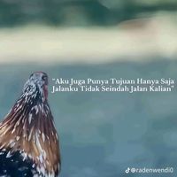 suara asli - 🙉🙉