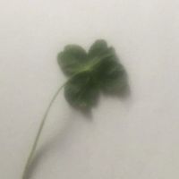 オリジナル楽曲 - ୨୧