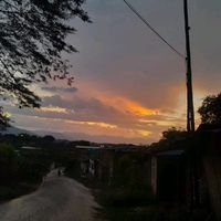 paola364486