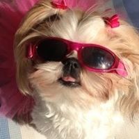 오리지널 사운드 - 공일공