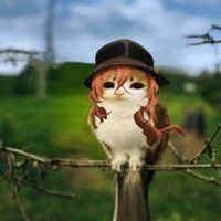 アップロード楽曲