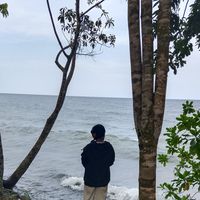 suara asli - fens: linghe