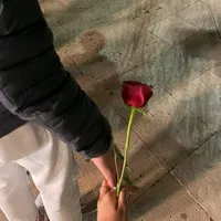 original sound - sunflowersabdi