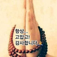 user3103505778305